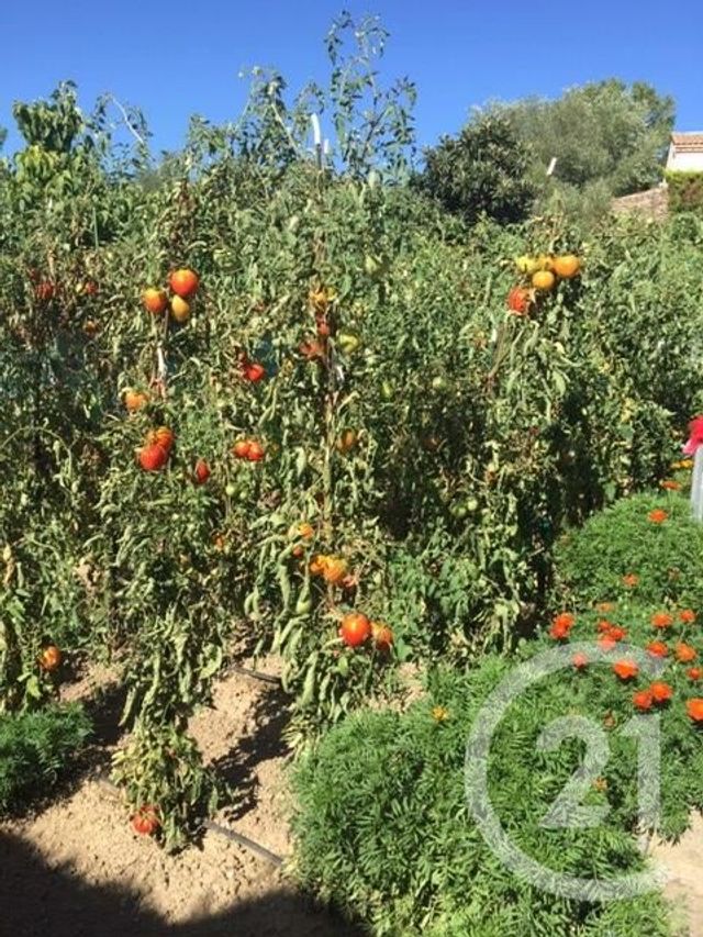 maison à vendre - 4 pièces - 104.0 m2 - LIMOUX - 11 - LANGUEDOC-ROUSSILLON - Century 21 Aci
