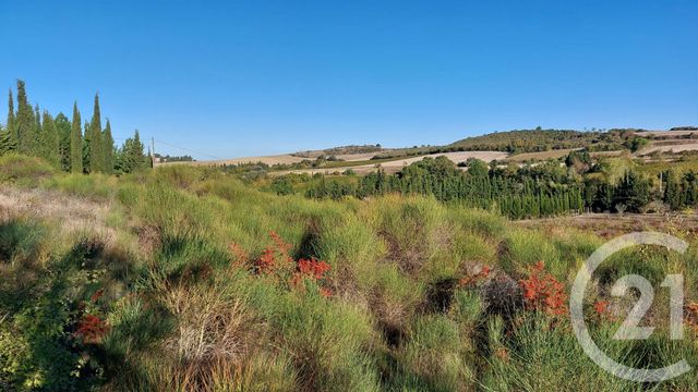 terrain à vendre - 2386.0 m2 - CAILHAU - 11 - LANGUEDOC-ROUSSILLON - Century 21 Aci