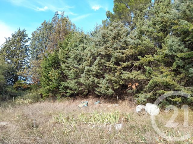 maison à vendre - 7 pièces - 130.0 m2 - LIMOUX - 11 - LANGUEDOC-ROUSSILLON - Century 21 Aci