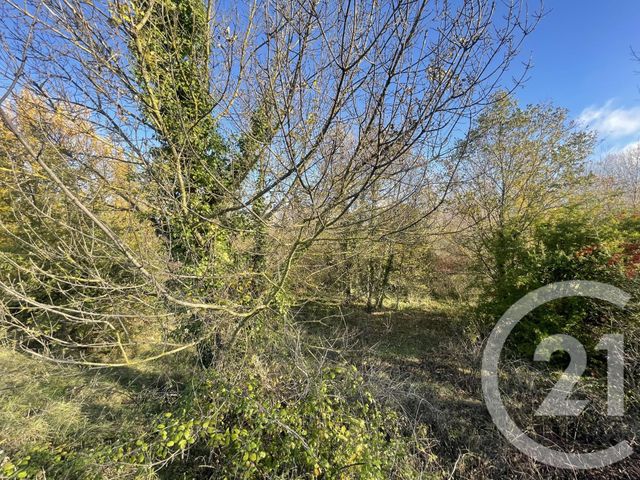 terrain à vendre - 33395.0 m2 - ROUFFIAC D AUDE - 11 - LANGUEDOC-ROUSSILLON - Century 21 Aci