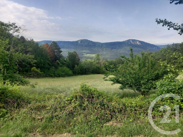 maison à vendre - 10 pièces - 425.0 m2 - ARQUES - 11 - LANGUEDOC-ROUSSILLON - Century 21 Aci