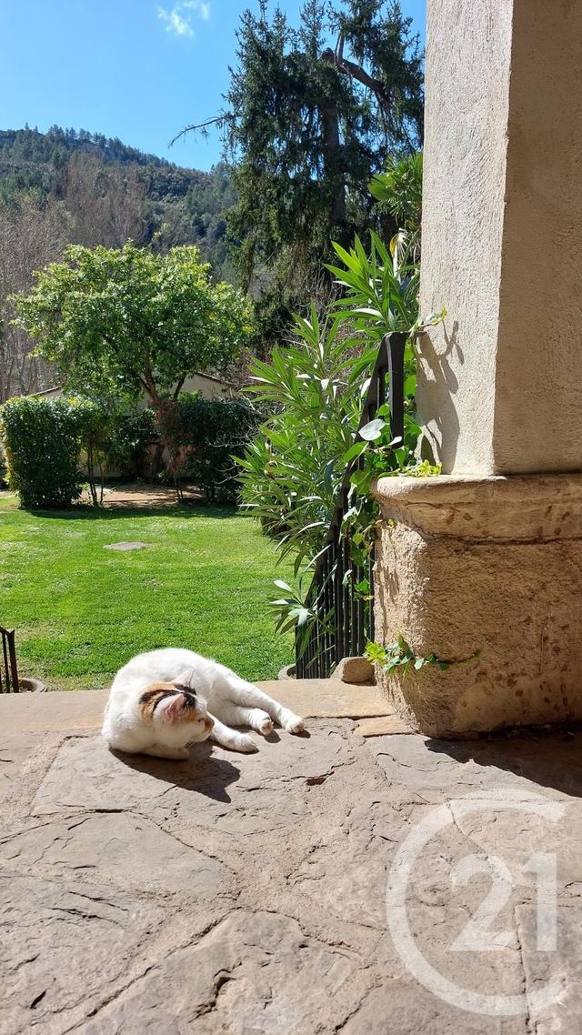 maison à vendre - 12 pièces - 300.0 m2 - ALET LES BAINS - 11 - LANGUEDOC-ROUSSILLON - Century 21 Aci