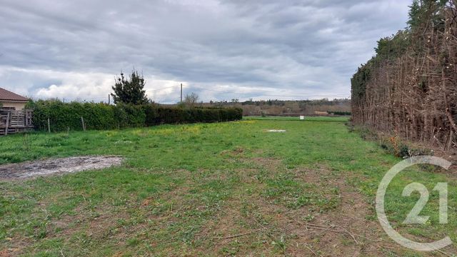 terrain - CAMBIEURE - 11