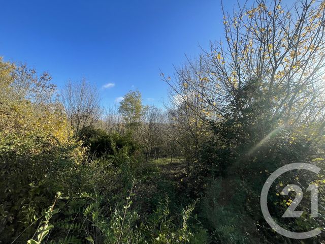 terrain à vendre - 33395.0 m2 - ROUFFIAC D AUDE - 11 - LANGUEDOC-ROUSSILLON - Century 21 Aci