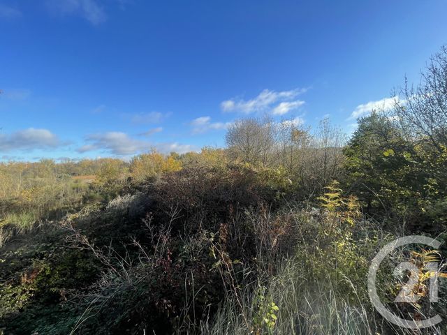 terrain à vendre - 33395.0 m2 - ROUFFIAC D AUDE - 11 - LANGUEDOC-ROUSSILLON - Century 21 Aci