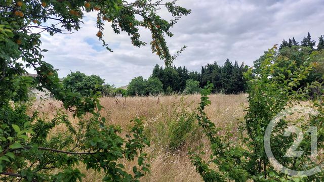 terrain à vendre - 894.0 m2 - MALVIES - 11 - LANGUEDOC-ROUSSILLON - Century 21 Aci