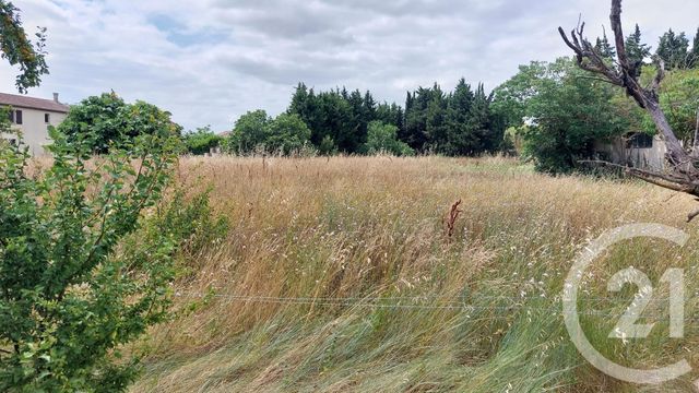 terrain à vendre - 894.0 m2 - MALVIES - 11 - LANGUEDOC-ROUSSILLON - Century 21 Aci