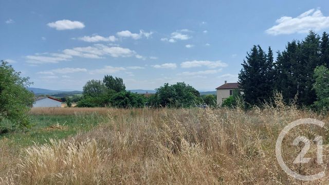 terrain - MALVIES - 11