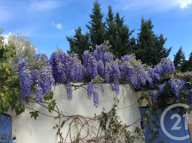 Afficher la photo en grand maison à vendre - 4 pièces - 100.0 m2 - VILLARZEL DU RAZES - 11 - LANGUEDOC-ROUSSILLON - Century 21 Aci