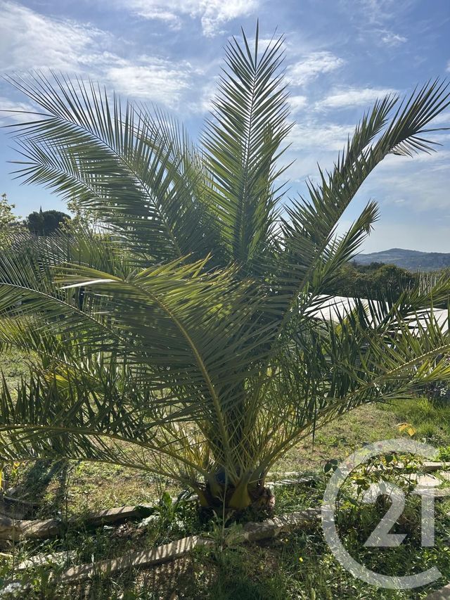 maison à vendre - 4 pièces - 130.0 m2 - POMAS - 11 - LANGUEDOC-ROUSSILLON - Century 21 Aci