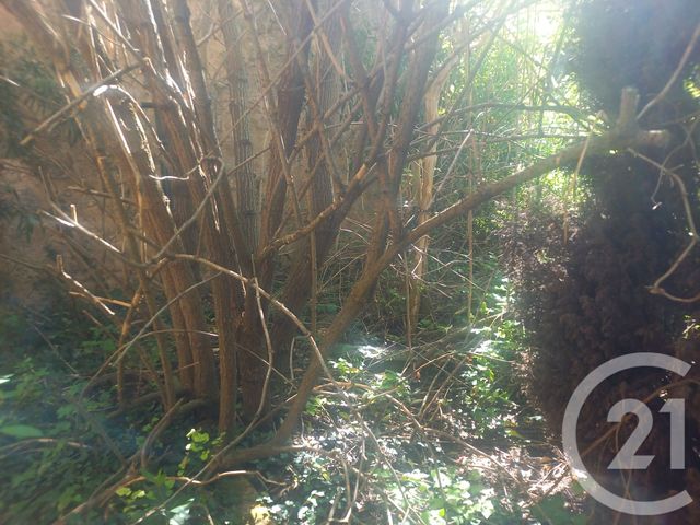 maison à vendre - 5 pièces - 95.49 m2 - ARQUES - 11 - LANGUEDOC-ROUSSILLON - Century 21 Aci