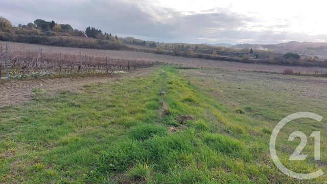 terrain à vendre - 7000.0 m2 - BELVEZE DU RAZES - 11 - LANGUEDOC-ROUSSILLON - Century 21 Aci