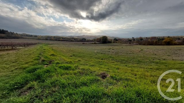 terrain à vendre - 7000.0 m2 - BELVEZE DU RAZES - 11 - LANGUEDOC-ROUSSILLON - Century 21 Aci