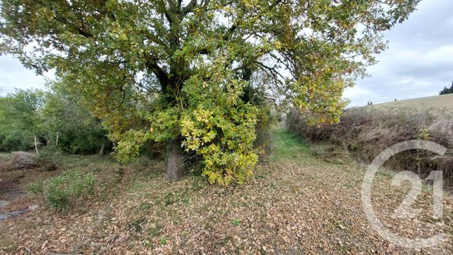 maison à vendre - 4 pièces - 92.0 m2 - CAILHAU - 11 - LANGUEDOC-ROUSSILLON - Century 21 Aci