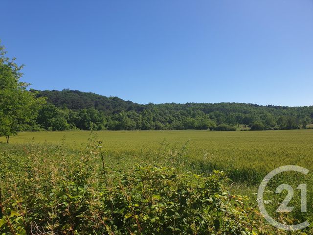 maison à vendre - 17 pièces - 520.0 m2 - MIREPOIX - 09 - MIDI-PYRENEES - Century 21 Aci