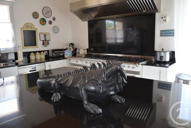 maison à vendre - 7 pièces - 283.0 m2 - BELVEZE DU RAZES - 11 - LANGUEDOC-ROUSSILLON - Century 21 Aci